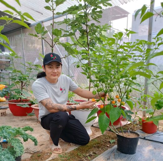 Planting a familiar plant that only sells seeds, 9X Lam Dong has a day to collect 30 million dong