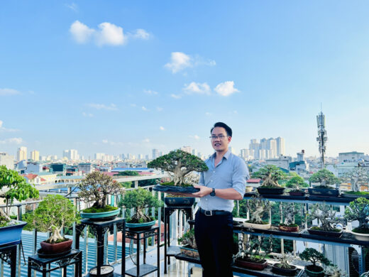 “Stunned” with billions of trees on the terrace of Hanoi boys