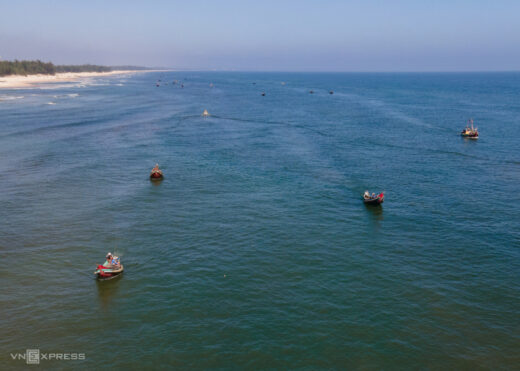 Fishermen have a Sergestidae season