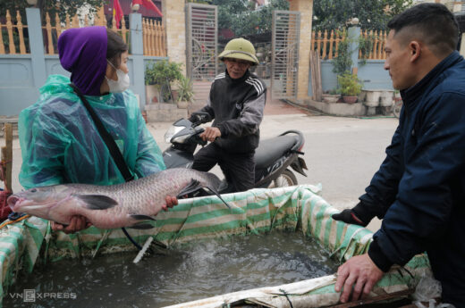 Smoked fish village on Tet holiday