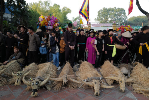 The performance of ‘straw buffalo, straw cow’ in early spring