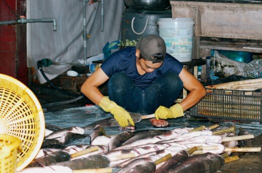 The largest grilled snakehead fish oven in Ho Chi Minh City “red on fire all night” to prepare for the day of God of Fortune