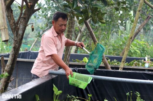 Raising black specialties, and eating all cheap things, the farmer lives well