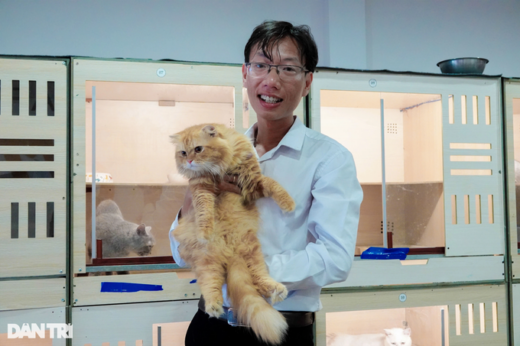 The guy spent more than 200 million dongs to open a cat cafe for guests to caress