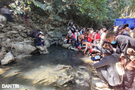 Crowded with thousands of people admiring the “terrible” fish in Thanh Hoa