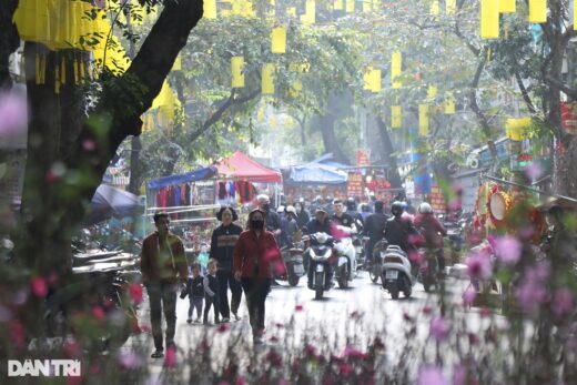 The vibrant flower market meets only once a year