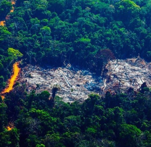 Son Doong is one of 10 beautiful landscapes on earth that have not been fully explored