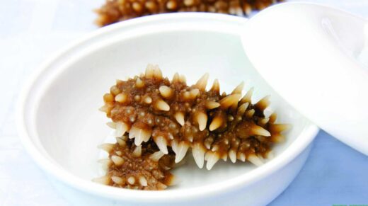 Phu Quoc sea cucumber – a famous specialty of the sea that must be enjoyed once