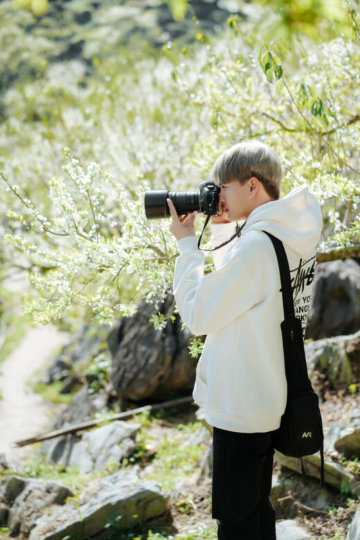 Photographers make a lot of money thanks to the plum blossom season in Moc Chau