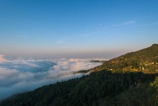 Ta Xua is surprisingly beautiful in the colorful peach blossom season among the sea of ​​​​clouds, the virtual life enthusiasts are excited to go hunting together