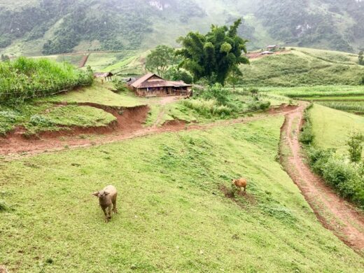 A tour of the wild and peaceful Xa Nhe commune of Tua Chua district, Dien Bien