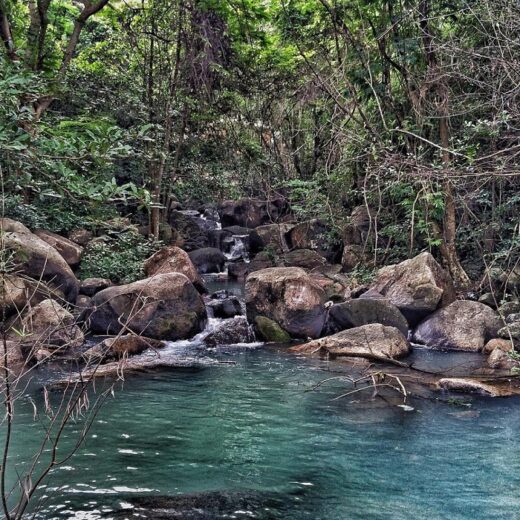 Dinh Vung Tau Mountain Safari – paradise of fun, check-in virtual living is as beautiful as a place of paradise