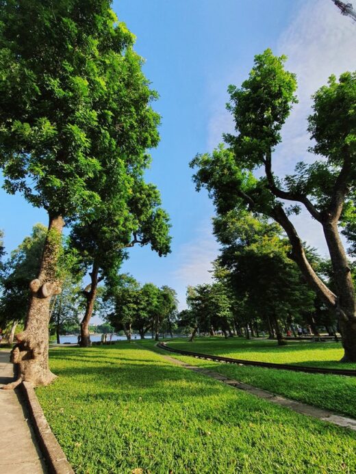 Thong Nhat Park changed its appearance, and Ha Thanh young people flocked to take pictures