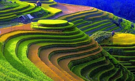 Ha Long Bay, Mu Cang Chai among world's 40 most colorful destinations: US magazine