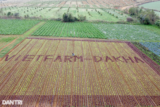 Farmers pay off debts, and build houses by growing clean vegetables