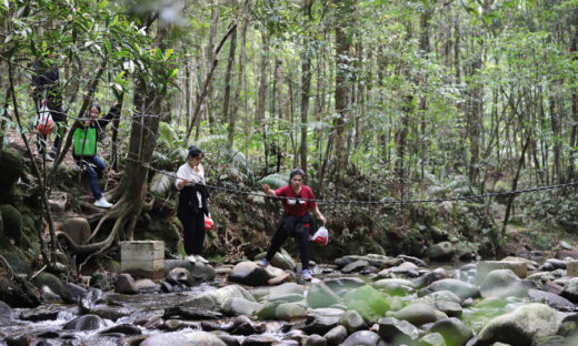 Exploring magnificent waterfalls in Bach Ma National Park