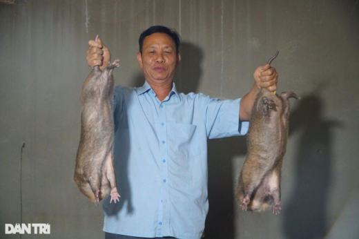 Raising animals in the heat of the day, lying on the fan, in the cold lying on the heater, “producing” billions of dollars every year