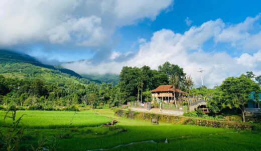 The engineer bought 1,000m2 of land on the outskirts of Hanoi for his wife to raise chickens, grow vegetables, and build a unique stilt house