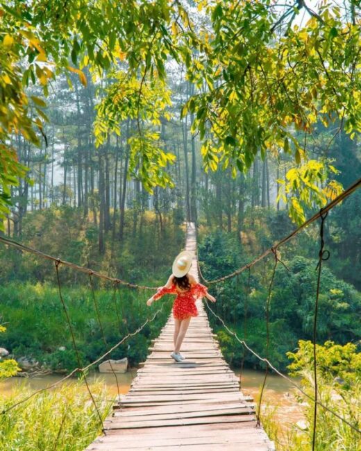 Conquering the super chill La Ba suspension bridge in Da Lat, check-in is a beautiful photo right away