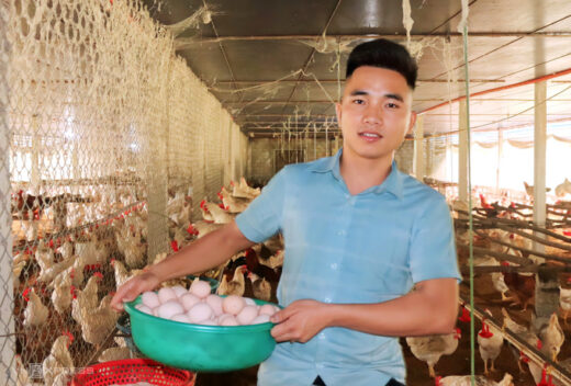 From empty hand to farm owner of 3,000 laying hens