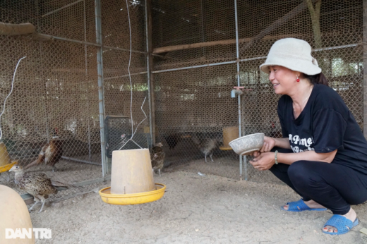 The leader of the Women’s Union got out of poverty by raising pheasants