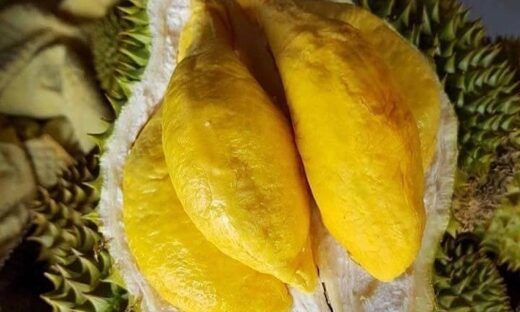 Durian fruit takes role in 'A Tourist's Guide to Love'