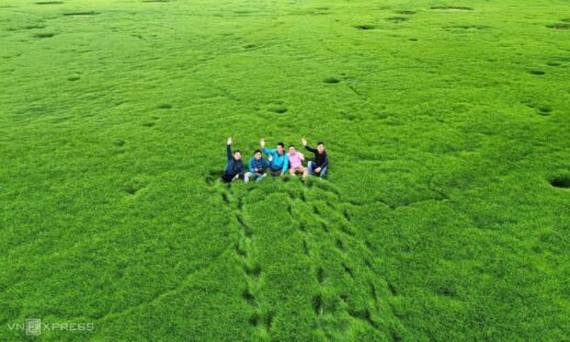 The enchanting grasslands of Tri An reservoir