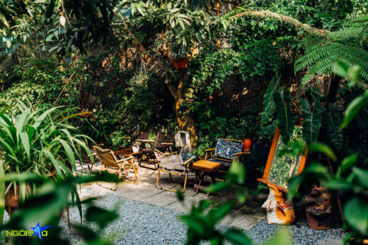 Escape to greenleaf retreat: A tranquil coffee spot in Hanoi