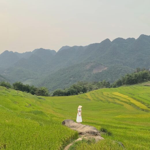 With 2 million VND you can go to explore Pu Luong which is entering the most beautiful ripe rice season