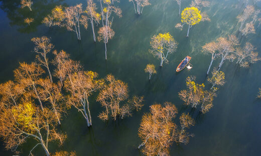 Tuyen Lam to become Vietnam's first UNESCO-recognized Asia-Pacific tourism area