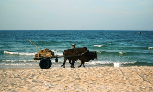 Nature's symphony: Finding bliss at Hue beach