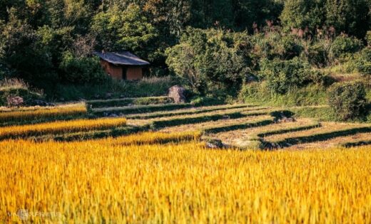 Check-in points for adventurers in Quang Ninh