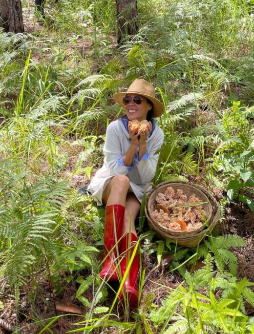 Invite each other to pick mushrooms in the rainy season in Da Lat, an interesting and very chill experience