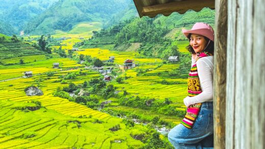 Picturesque ripe golden terraced fields “fascinate” visitors to Sapa