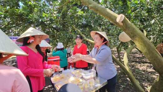 There is a fruit “capital” little known by tourists in Dong Nai