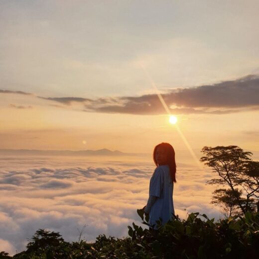 Surprisingly beautiful cloud hunting spots in Bao Loc are like a fairyland