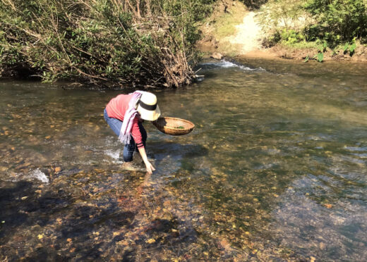 The job of picking moss and stones