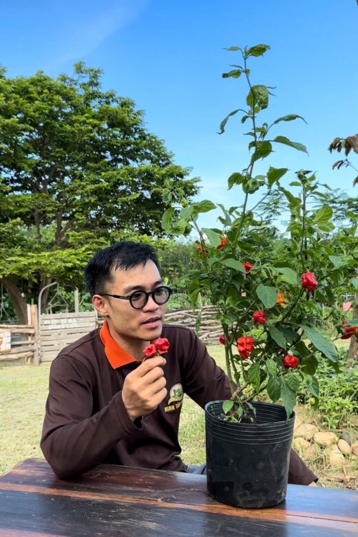 Master quits his job with a salary of thousands of dollars to return to his hometown to start a business with “dragon’s breath”