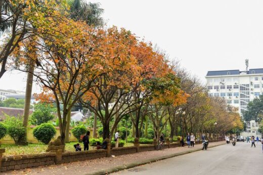 “Million views” virtual living corner in school: A place to see planes, a place to capture the whole autumn of Hanoi!