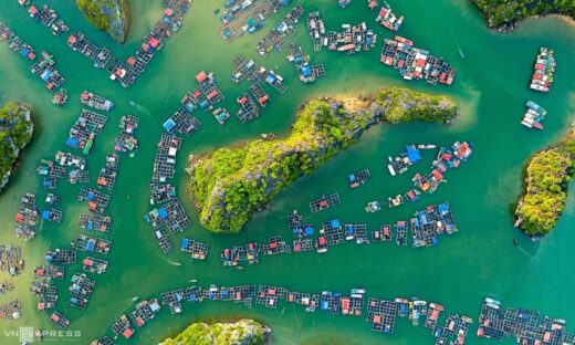 Ha Long Bay-Cat Ba Archipelago recognized as world natural heritage