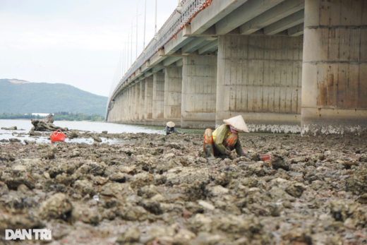 My hands and feet are bleeding, searching for specialties in the “gold mine” of Thi Nai