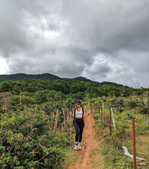 Explore trekking routes during the day in Da Lat to relax in the middle of nature