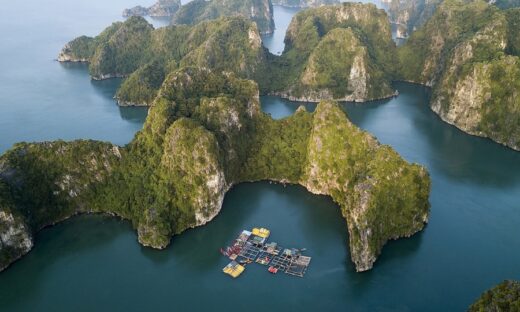 More luxury cruises to busy Ha Long season