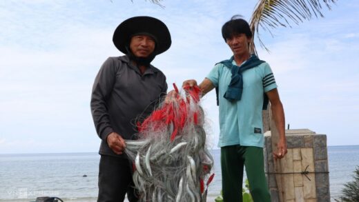 Hunting for fish in Phan Thiet sea