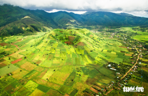 Admire millions of wild sunflowers dyed yellow at Chu Dang Ya volcano